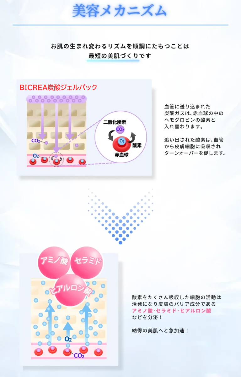 炭酸ガスパック BICREA CO2 PACK